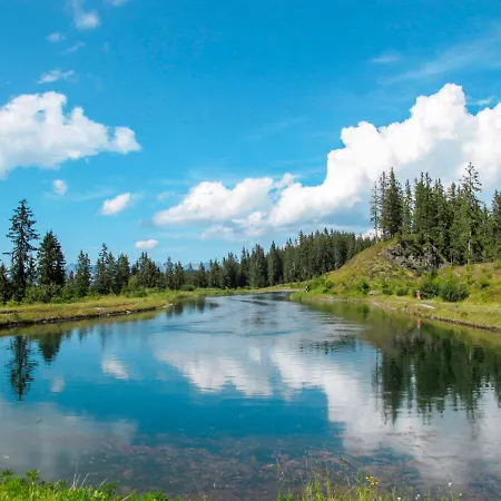 Anneliese By Interhome * Fügen